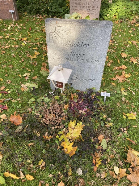 Hautatunnus: 1 H   265