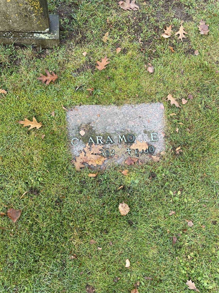 Grave number: VV 4   462, 463