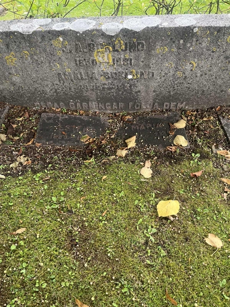 Grave number: 1 2 D   268