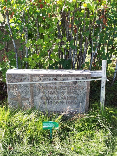 Hautatunnus: NK F A   117