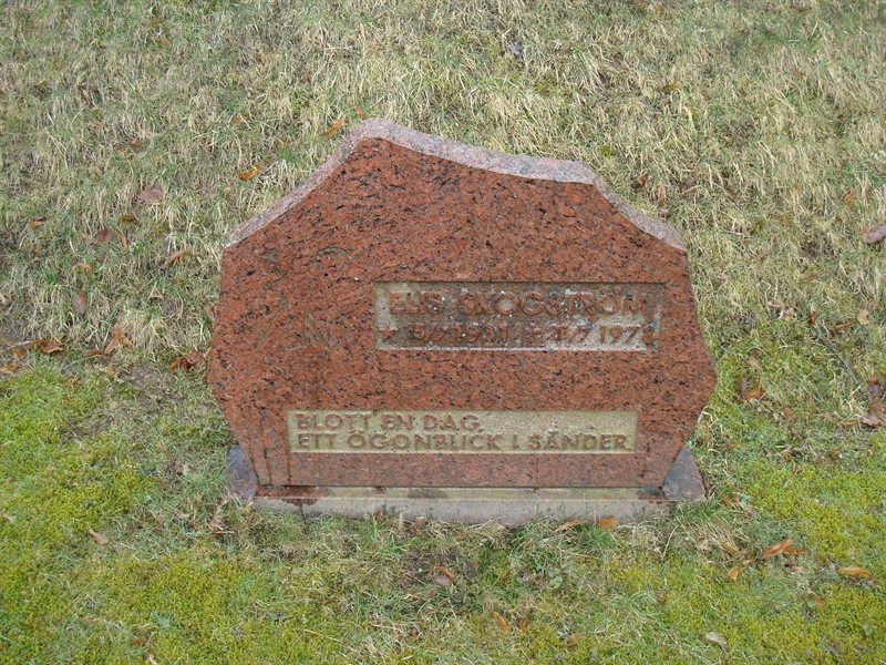 Grave number: BR D   247