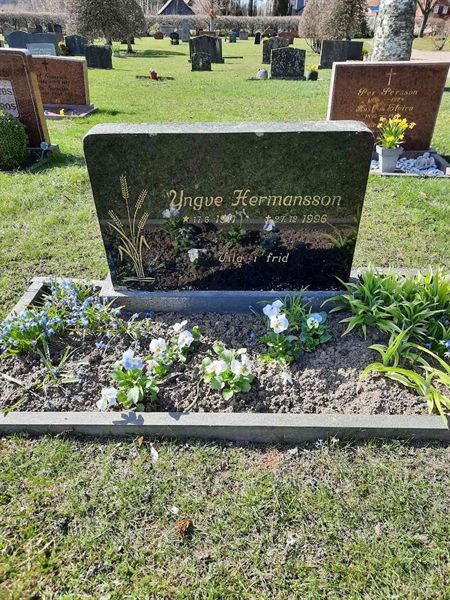 Grave number: VN B    28-29