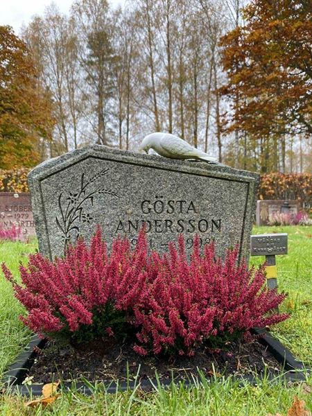 Grave number: 1 24    165