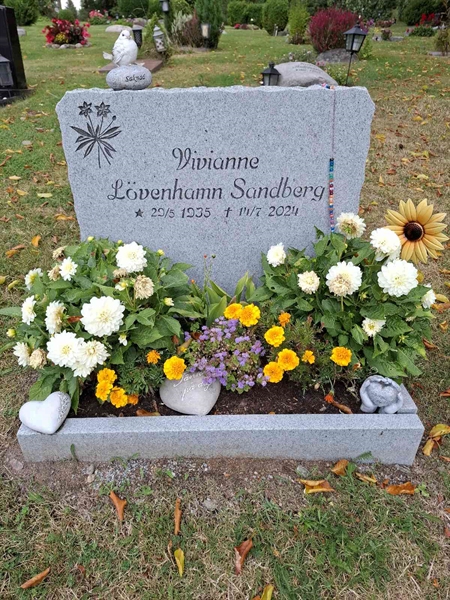 Hautatunnus: 01  6609