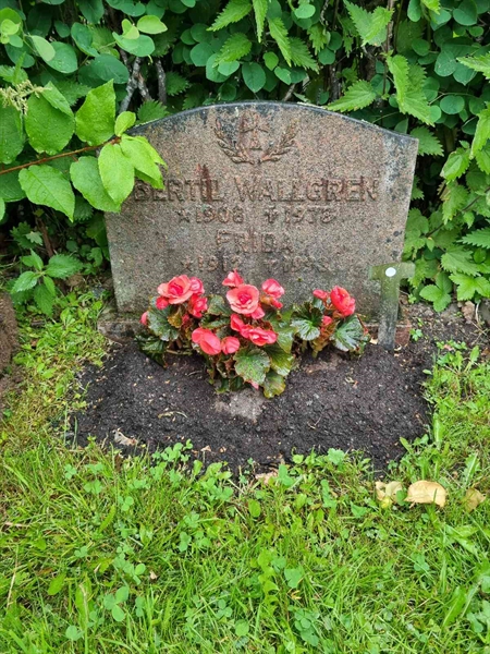 Grave number: 1 29 14