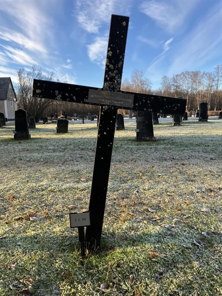 Hautatunnus: 2 C   110