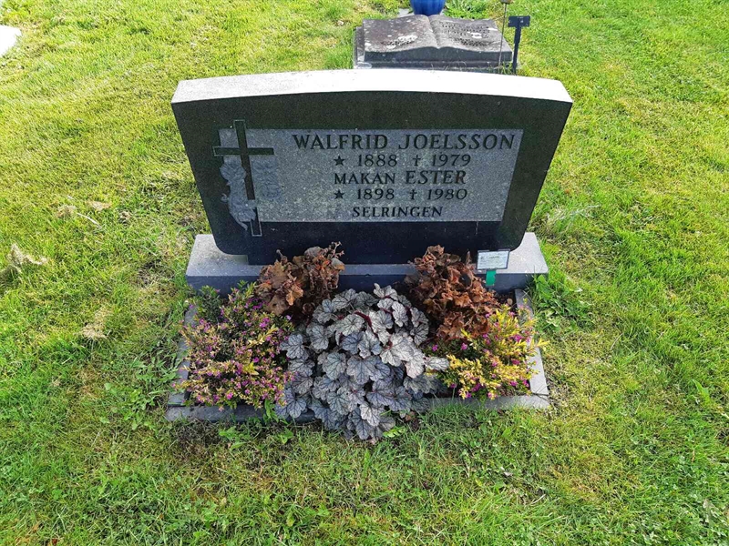 Grave number: Fr 8   493-494