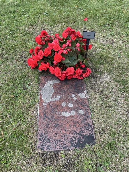 Grave number: 2   100A