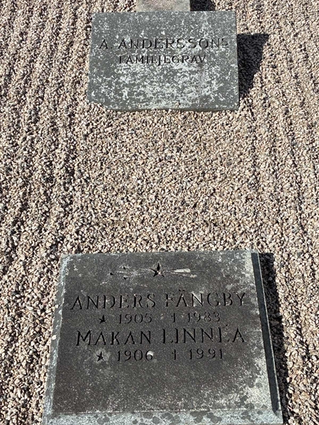 Grave number: 33 5   218
