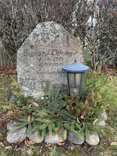 Hautatunnus: Vårv Kv5 62