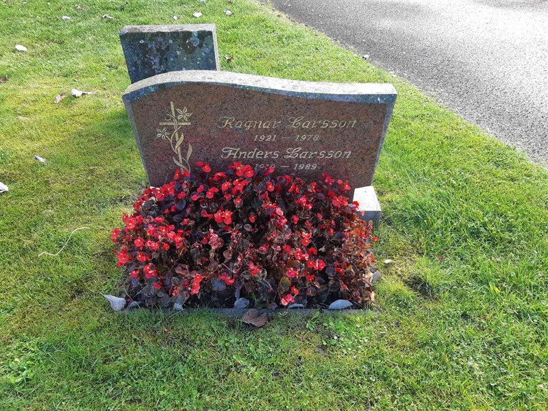 Hautatunnus: Fr 8   570-571