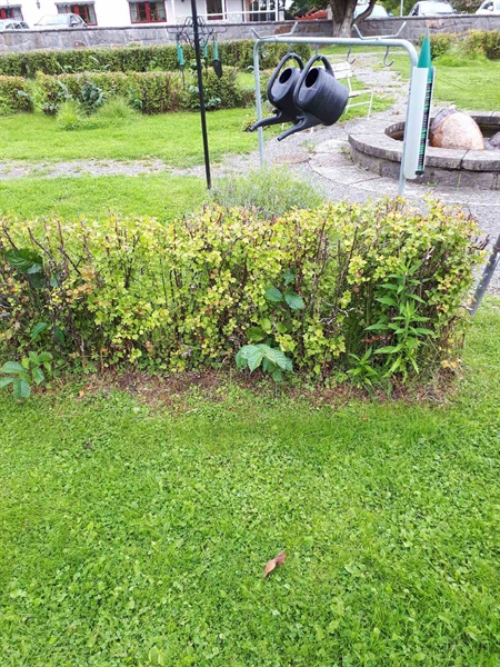 Hautatunnus: NK F G   169