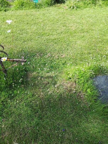 Grave number: GK A 5   164V