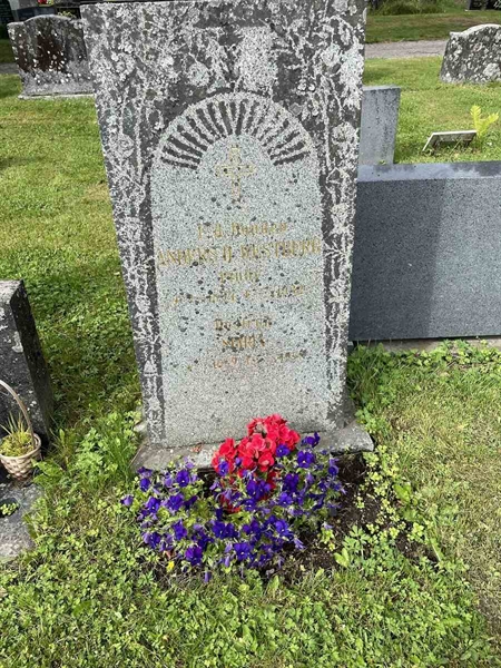 Grave number: N 4 2   236