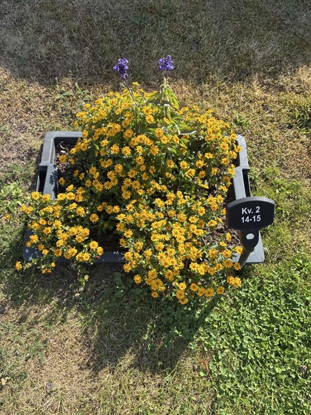 Grave number: 33 2    14-15