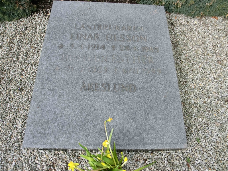 Grave number: SÅ 017:03