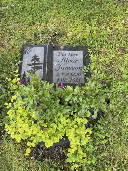 Grave number: R 5    64