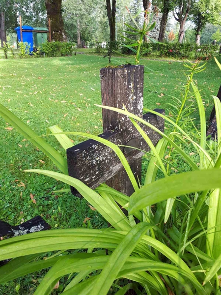 Gravnummer: GK A 4   145H