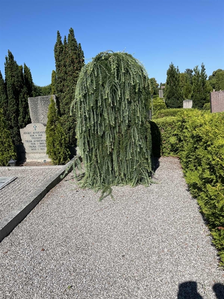 Grave number: NK IV 197a+b