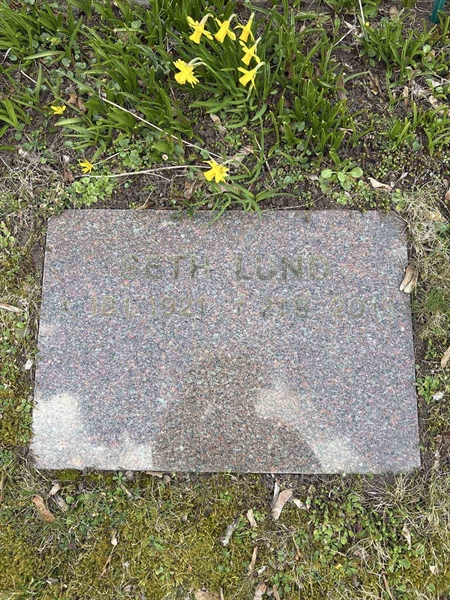 Gravnummer: LO    38, 39