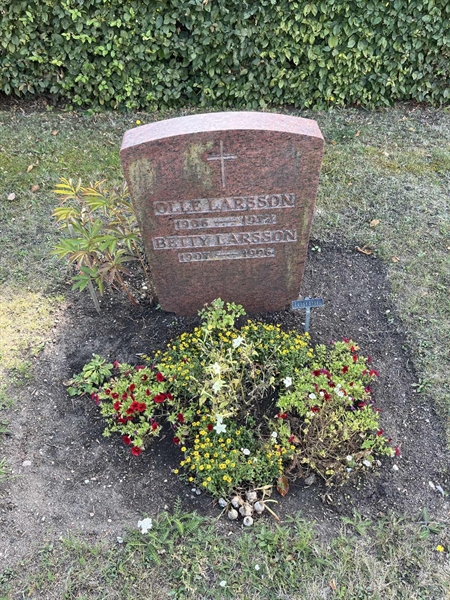 Grave number: NK XV:u    23