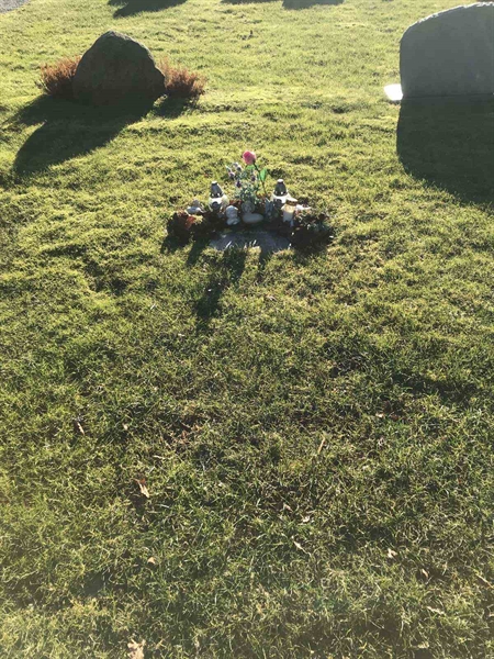 Grave number: SN 03    97