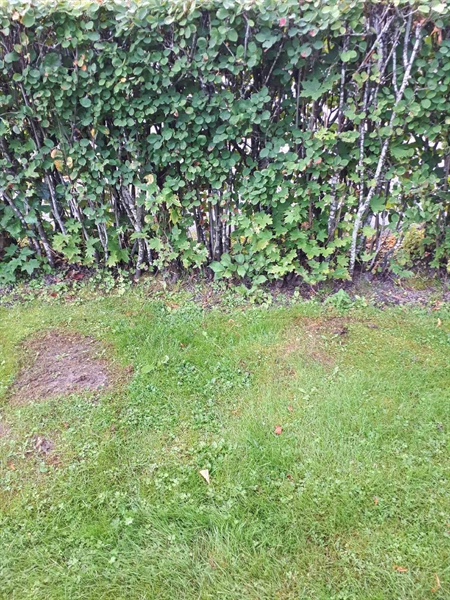 Gravnummer: NK F G    45