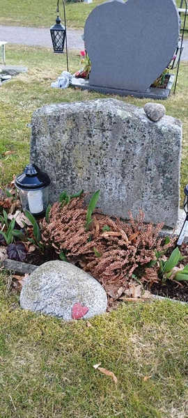 Hautatunnus: 3 Nya B    18-19