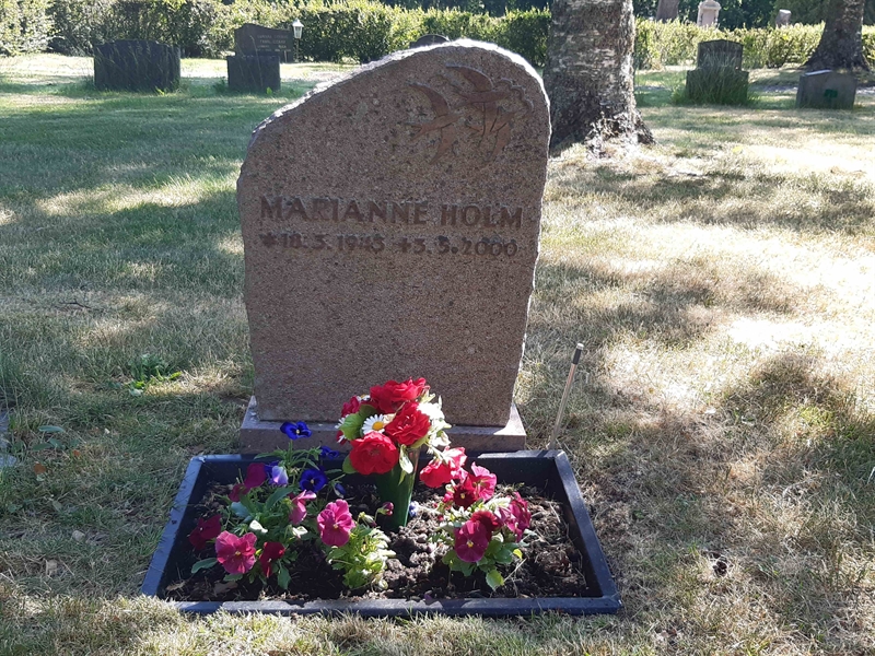 Grave number: VI 02   731