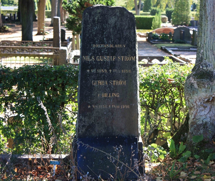 Grave number: Ö SSÄ   287, 288