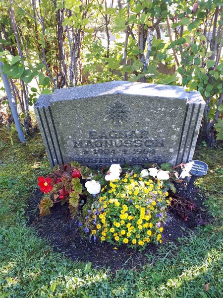 Grave number: NK F B    65