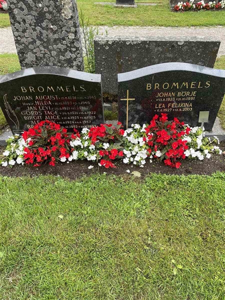 Gravnummer: N 4 3   431