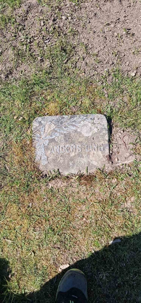 Grave number: F V C   355-356