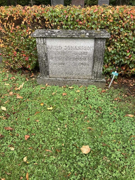 Grave number: 2 N 355-356