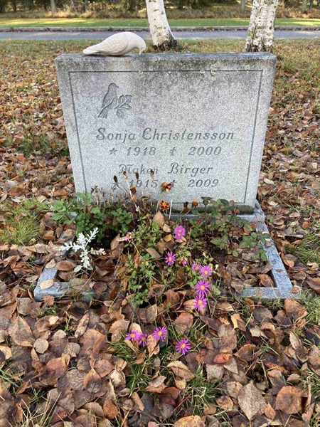 Grave number: 3 2407