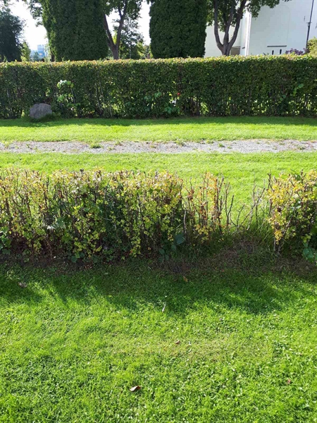 Gravnummer: NK F G   176