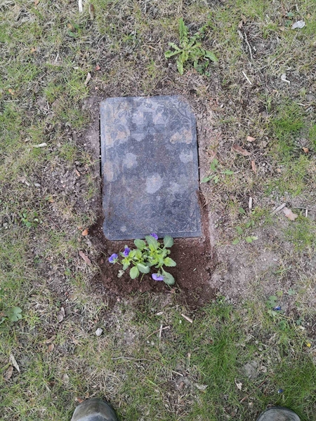 Grave number: Å J   147