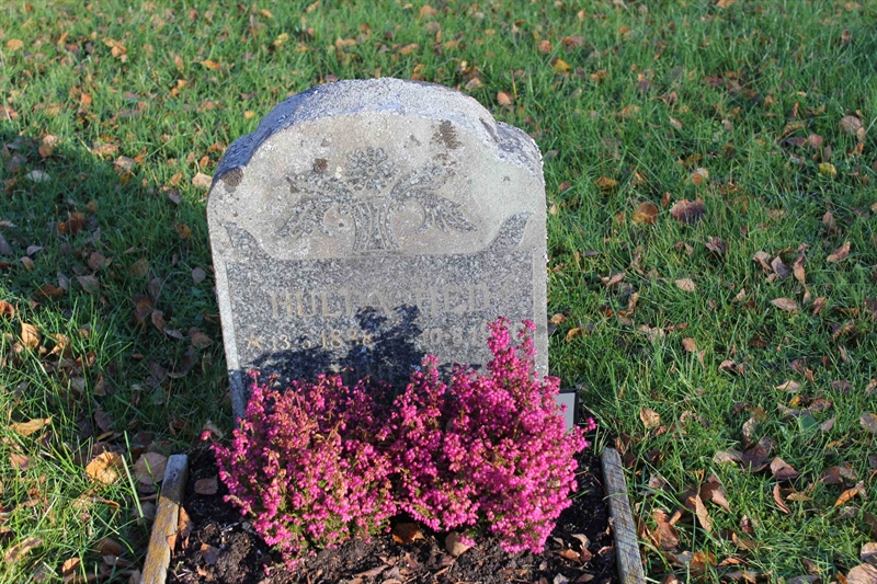 Grave number: A L  766