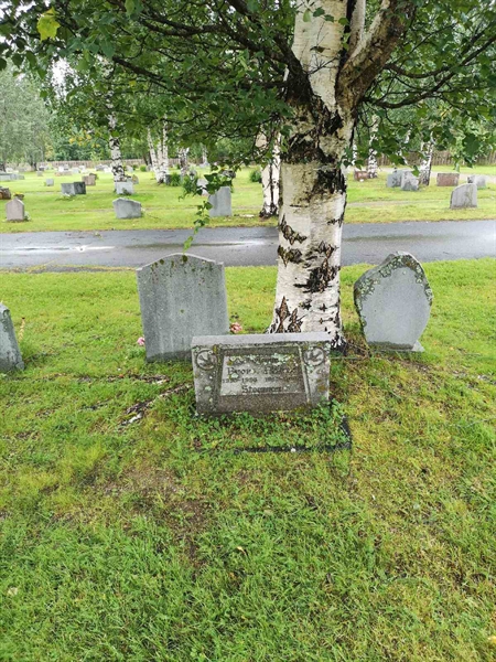 Hautatunnus: NK 17    66