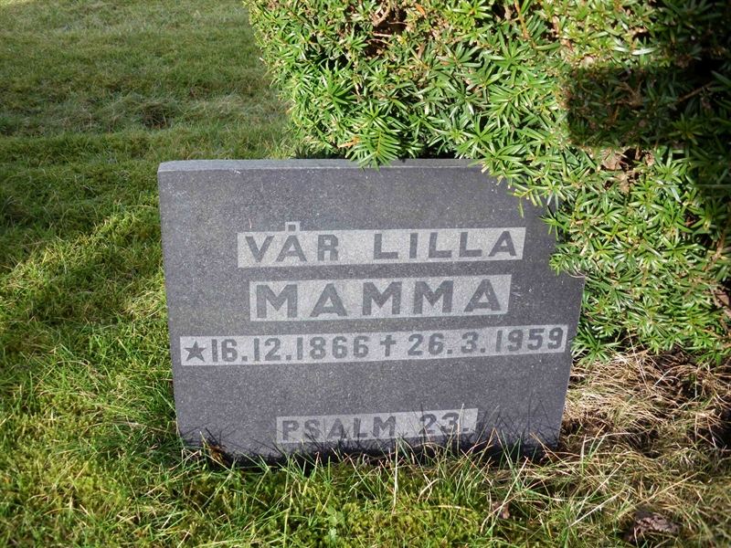 Grave number: HÖB NA05    51