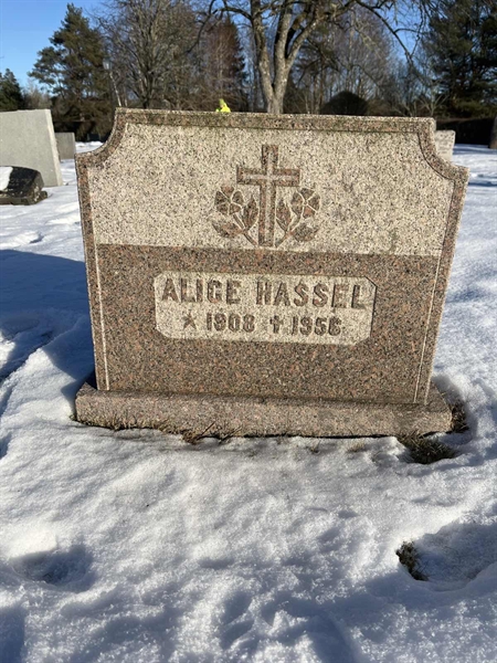 Gravnummer: SJ H    32