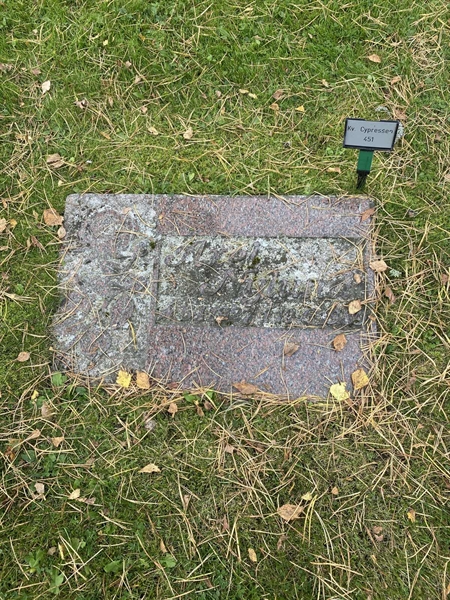 Gravnummer: 2 C   451