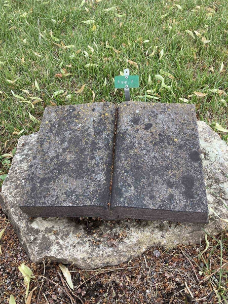 Hautatunnus: Kärn ga fam     9