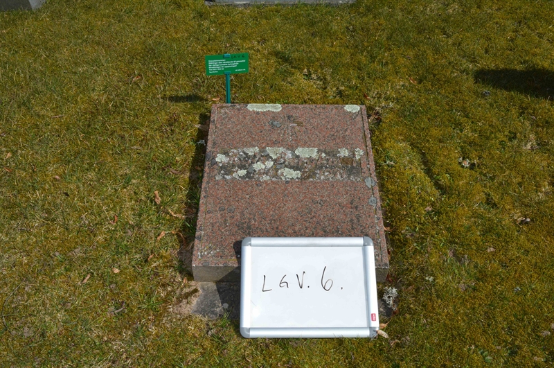Grave number: LG V     6