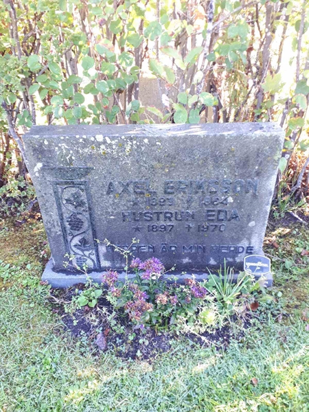 Hautatunnus: NK F B    67