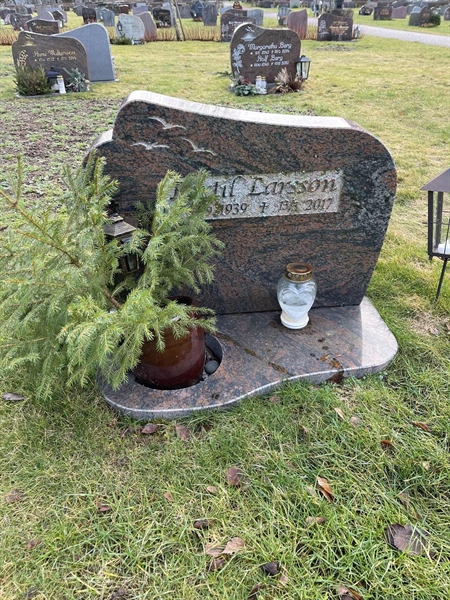 Grave number: Ärt 96 36 114+115