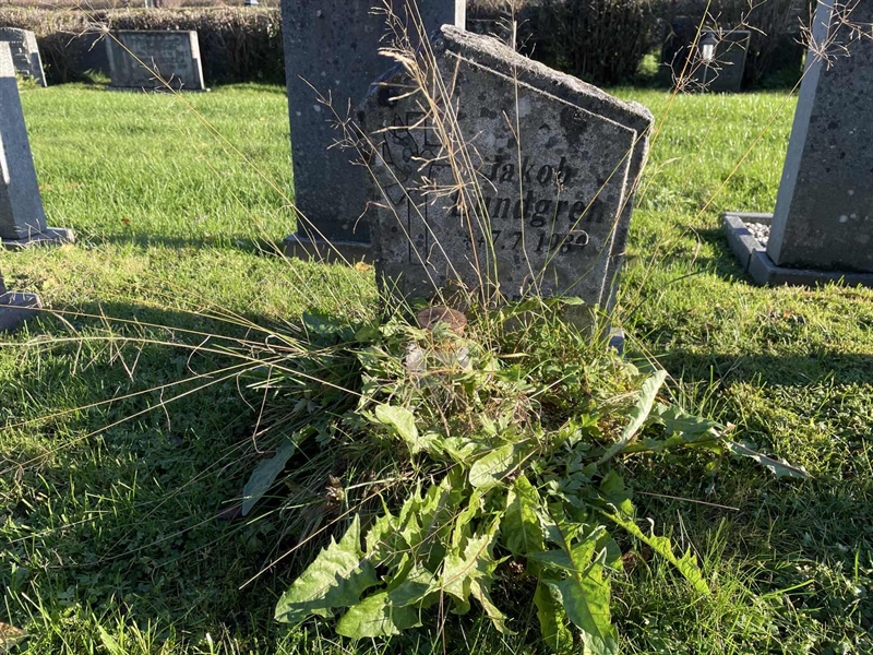 Grave number: 1 C 1911Allm