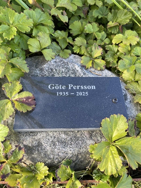 Grave number: 2 C    36