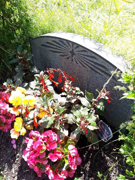 Gravnummer: GK F 5   551