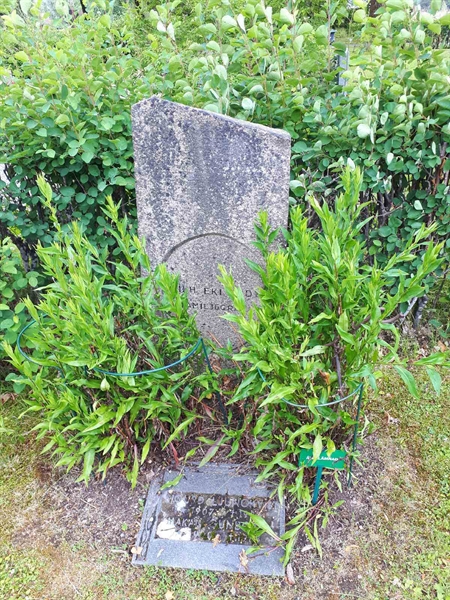 Gravnummer: GK F 5   443